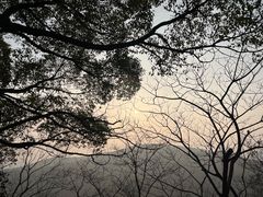 -惠山国家森林公园