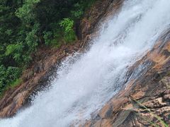 -广州白江湖森林公园