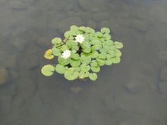 android_upload_pic-白马涧龙池景区