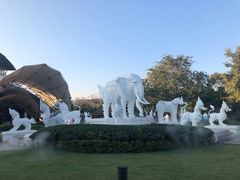 -清迈夜间动物园