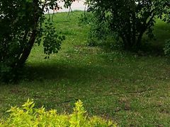 -长春公园(普阳街道)