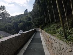 -莫干山风景区