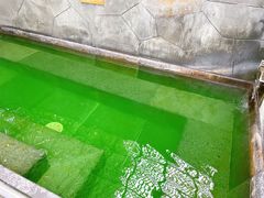 -凤翔首邑温泉度假村