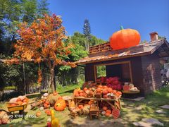 -HERRE·FARM 赫尔露营农场·团建聚会包场