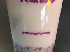 -一只酸奶牛(海南友谊阳光城店)