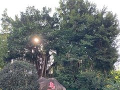 -乌山风景区
