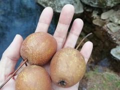 -丹东天桥沟景区