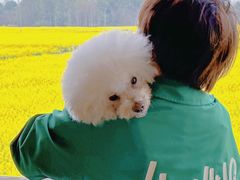 -中国天府农业博览园