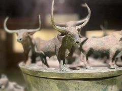 -上海博物馆(人民广场馆)