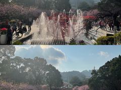 -南山植物园