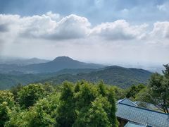 -东莞市大岭山森林公园