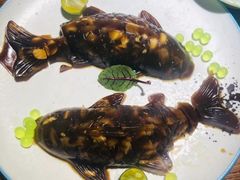 -山西会馆·晋菜·晋商宴·牌匾博物馆(胜利东街店)