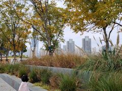 -星巴克(古象大酒店店)