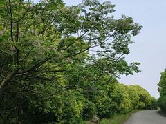 -平湖九龙山旅游度假区