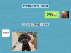 -電力宠物公司(武定路店)