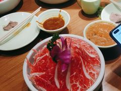 -掂档潮汕牛肉火锅(沈阳万象城店)