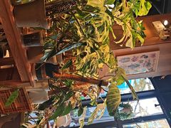 -1861意大利餐厅(文化广场店)