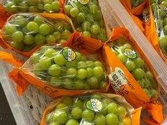 -西郊国际农产品交易中心
