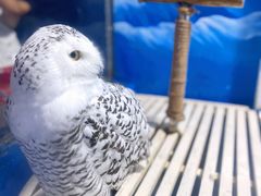 -成都浩海立方海洋公园