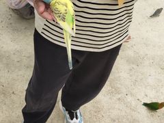 -芜湖新华联大白鲸海洋公园