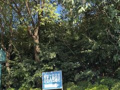 -上海滨江森林公园