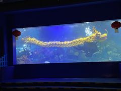 -重庆欢乐海底世界