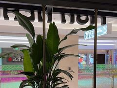 -旺顺阁鱼头泡饼(常营店)