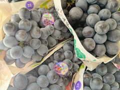 -马陆小张葡萄园农家乐