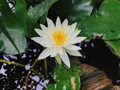 -肴约·花园式餐厅(湖里店)