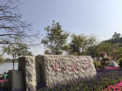 -长洲岛