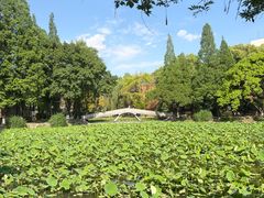 -西南交通大学(九里校区)