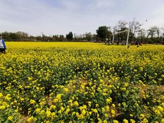 -晋一碗刀削面·特色家常菜(云岗店)