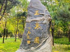 -北坞公园
