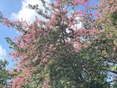 -人民公园(罗湖区)