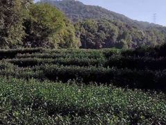 -西湖风景区十里琅珰-五云山