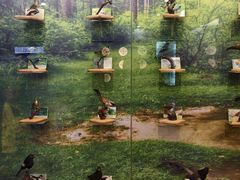 -下渚湖国家湿地公园科普馆