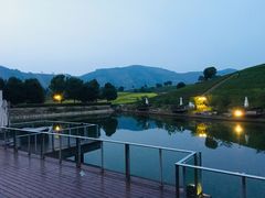 -帐篷客·溪龙茶谷度假酒店