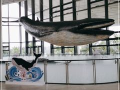 -中国（海南）南海博物馆