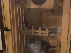-Mr.Fox狐狸先生超级密室(南山店)
