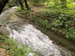 -东天目山风景区