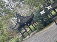 -范蠡湖公园