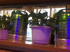 -鼎原力量东北吊炉烧烤(临河街店)