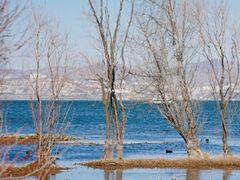 -洱海月湿地公园