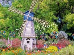 -上海共青森林公园