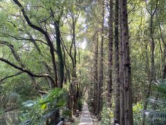 -同里国家湿地公园