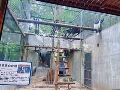 -合肥野生动物园