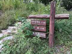 -北京西山国家森林公园