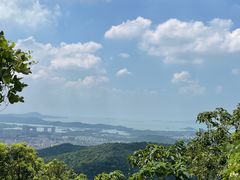 -惠山国家森林公园