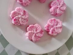 -天鹅到家·保姆月嫂育儿嫂(总店)
