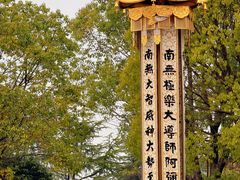 -庐山风景名胜区-东林大佛